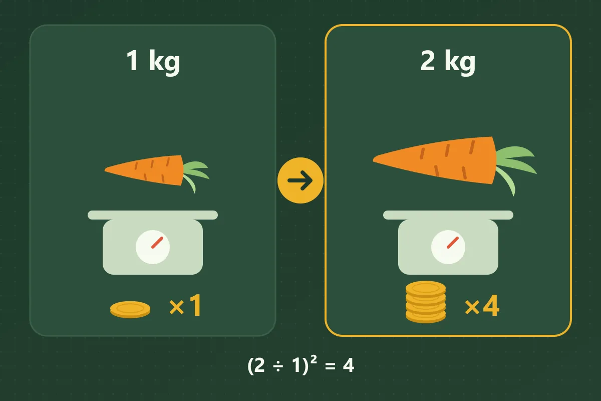 Twice the weight sells for four times the price A 1 kg carrot on a scale earns one coin at ×1, while a 2 kg carrot earns a stack of four coins at ×4 because (2 ÷ 1)² equals 4